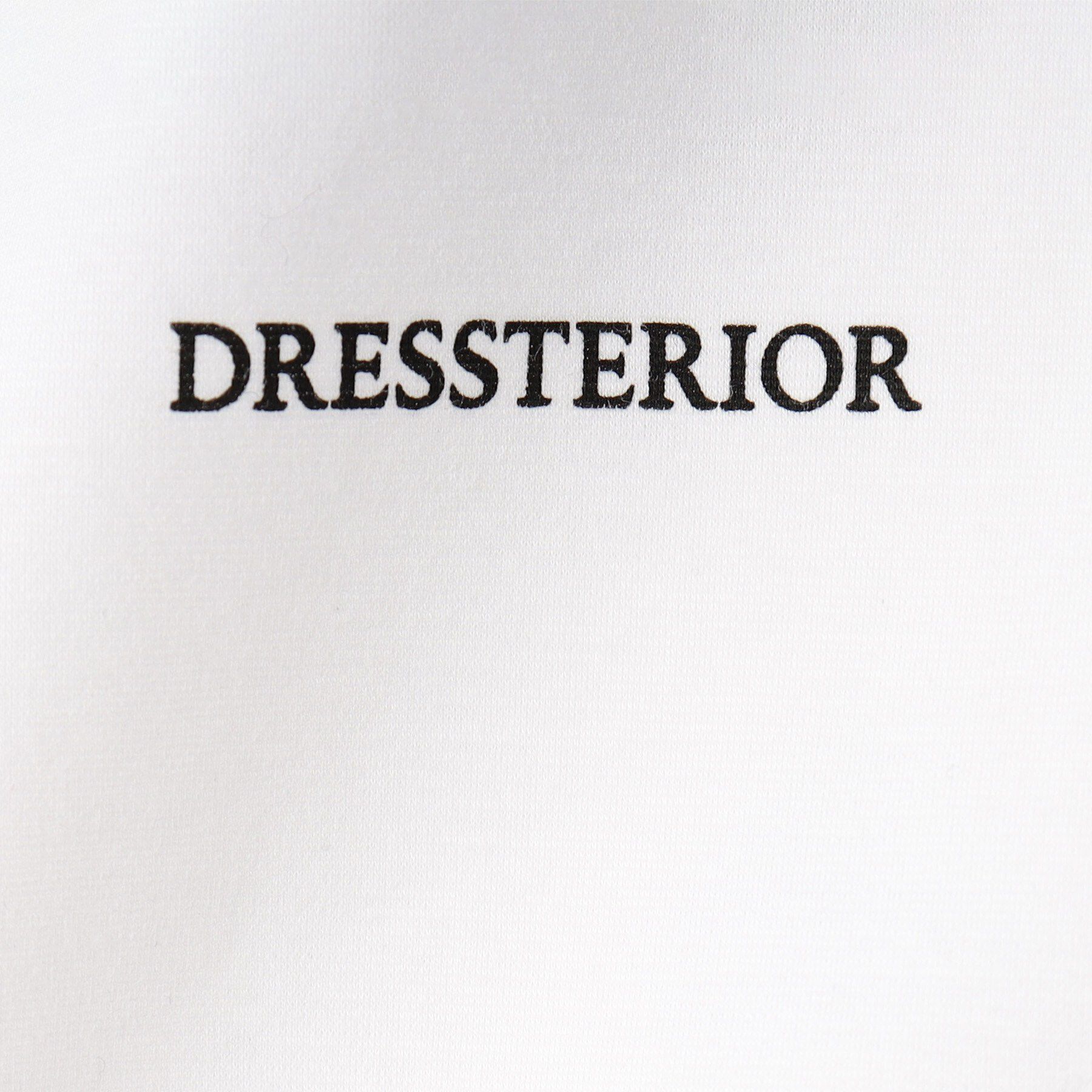 DRESSTERIOR「【接触冷感／UVカット／抗菌防臭／しわ防止】クールデオドラント ロゴTシャツ」|Tシャツ・カットソー|