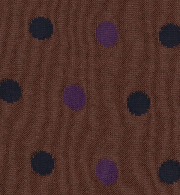 UNITED ARROWS「＜ANTIPAST＞クラシック ドット ソックス」|ソックス|