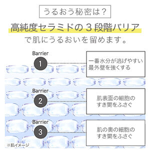 ORBIS「【数量限定】プチシェイク2箱セット(ストロベリー・マスカット＆アロエ)+ディフェンセラ7日分限定セット」|健康・美容食品 ※軽減税率対象|