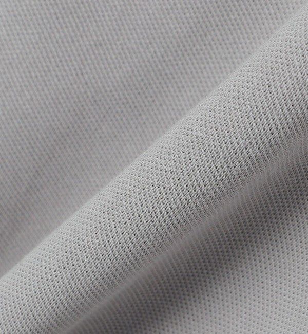 SHIPS「【SHIPS別注】LACOSTE: クラシック ニットリブ ポロシャツ」|ポロシャツ|