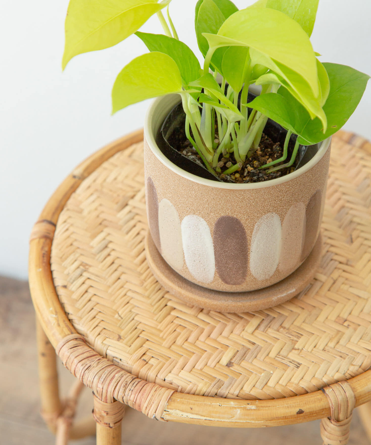 URBAN RESEARCH DOORS「FARM　デシレ 11C」|フィギュア・ホビー|