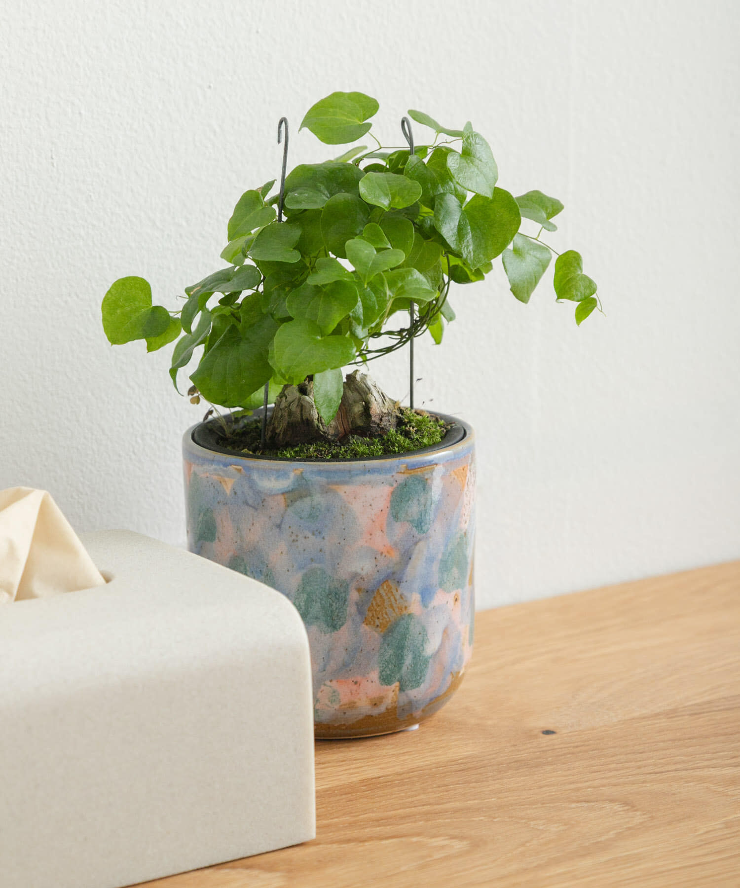 URBAN RESEARCH DOORS「Inter Plants Net　パレット 10.5」|フィギュア・ホビー|