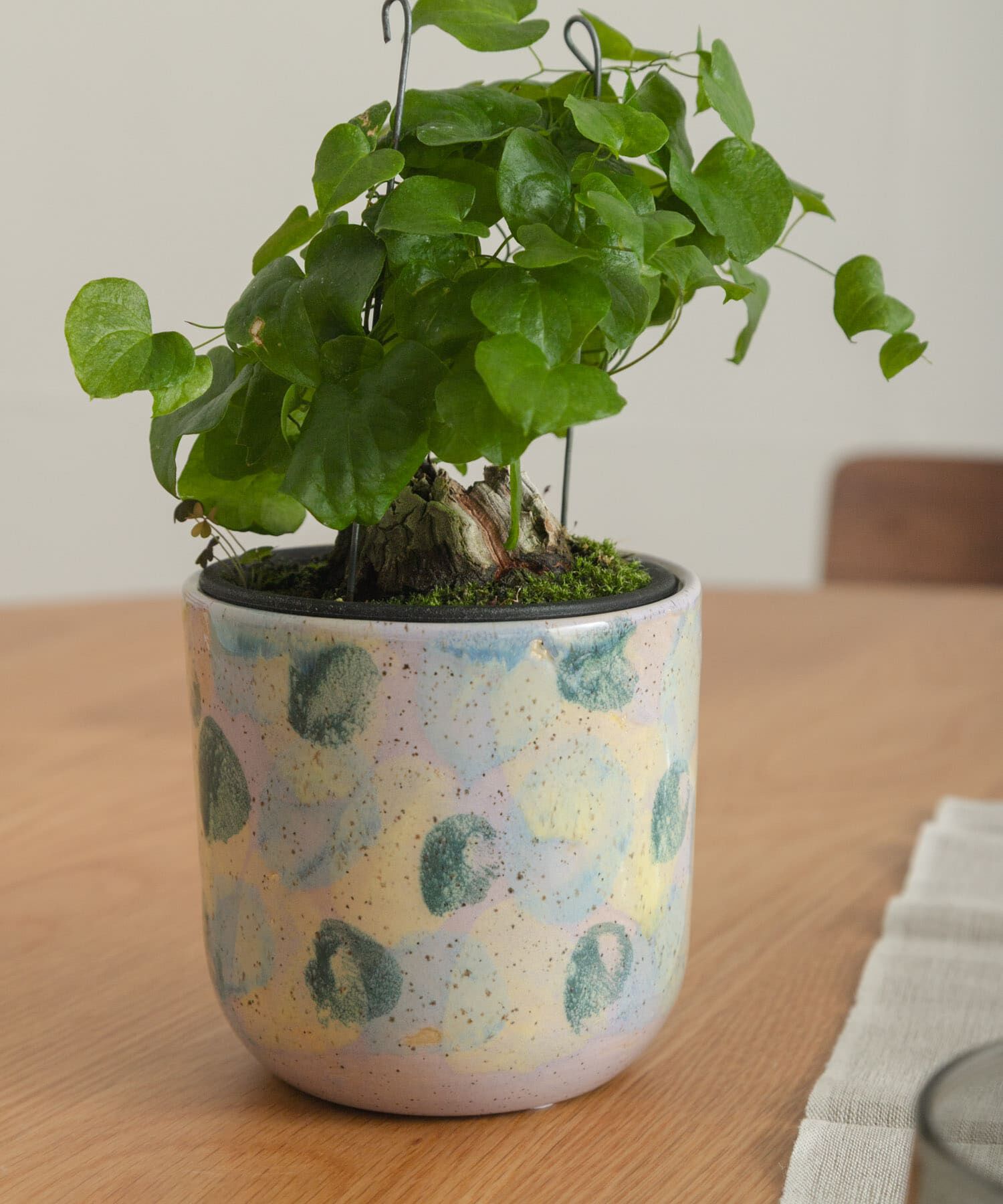 URBAN RESEARCH DOORS「Inter Plants Net　パレット 10.5」|フィギュア・ホビー|