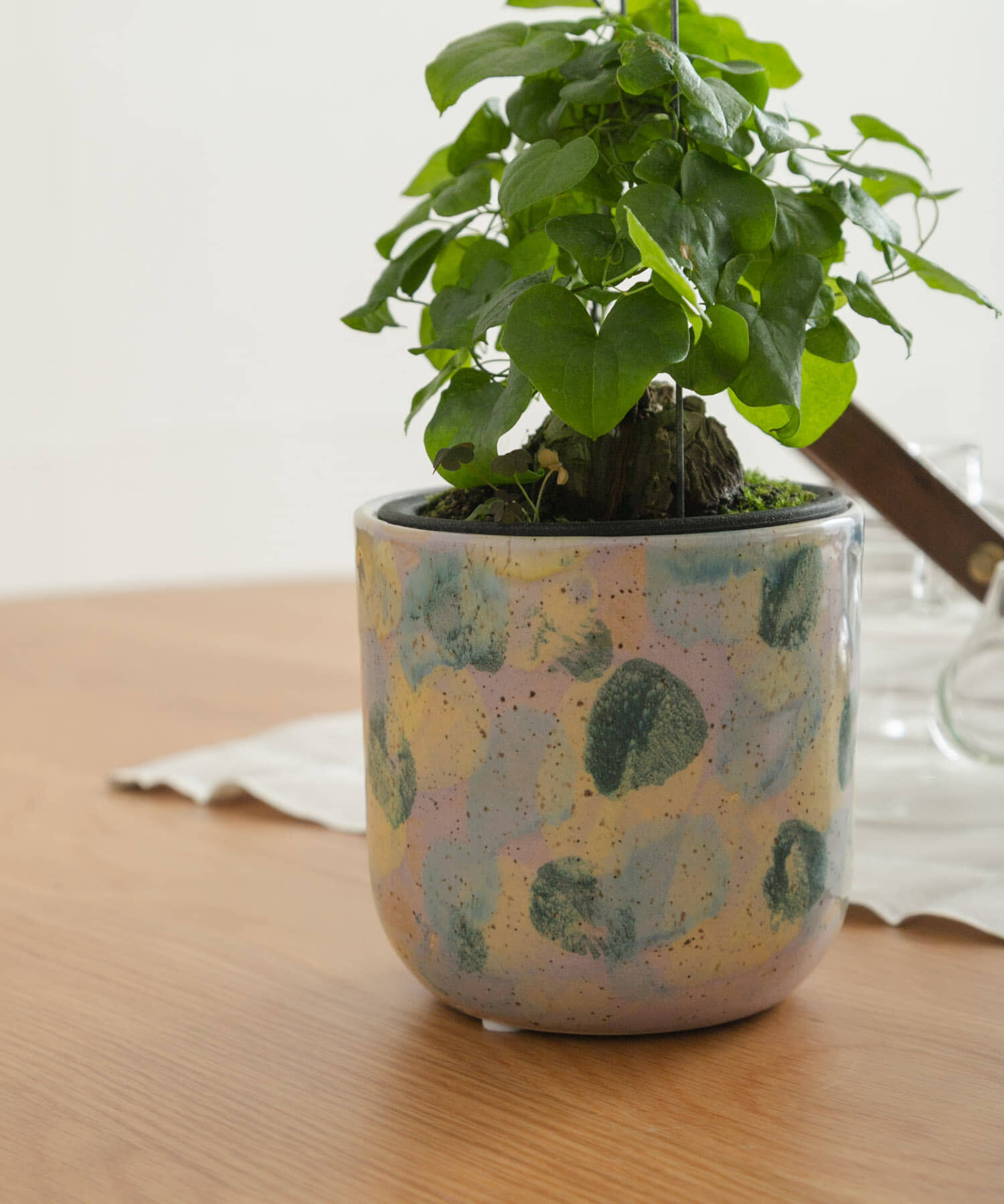 URBAN RESEARCH DOORS「Inter Plants Net　パレット 10.5」|フィギュア・ホビー|