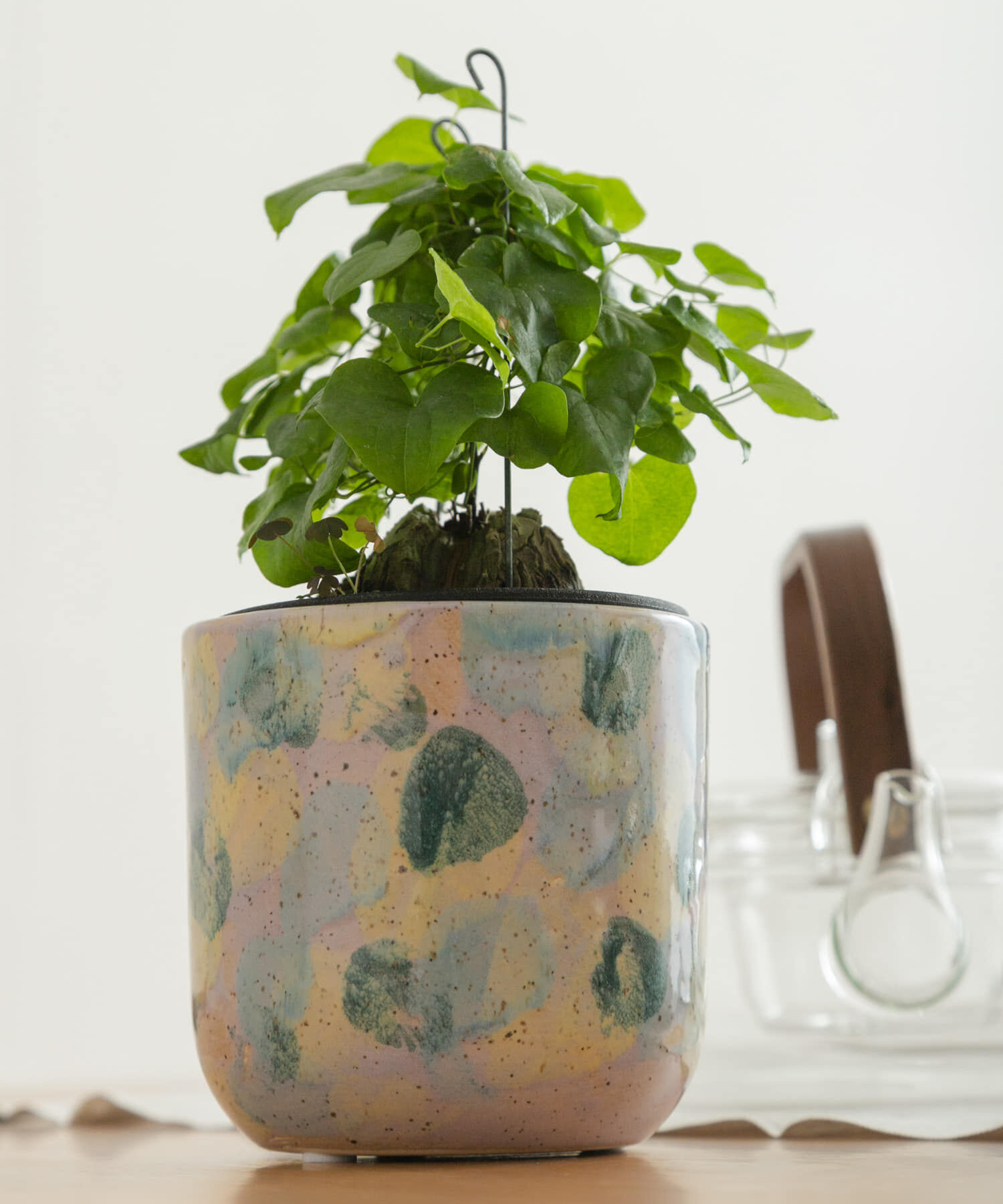 URBAN RESEARCH DOORS「Inter Plants Net　パレット 10.5」|フィギュア・ホビー|