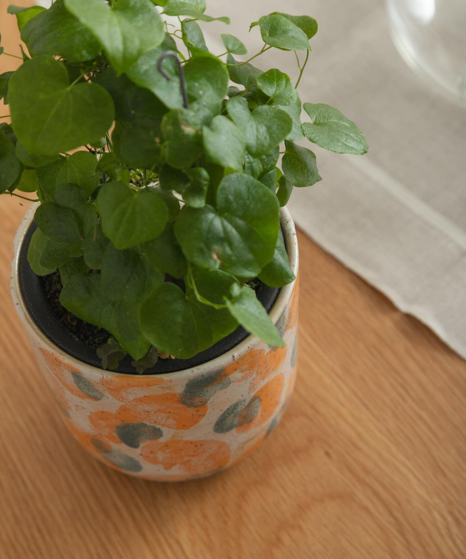 URBAN RESEARCH DOORS「Inter Plants Net　パレット 10.5」|フィギュア・ホビー|