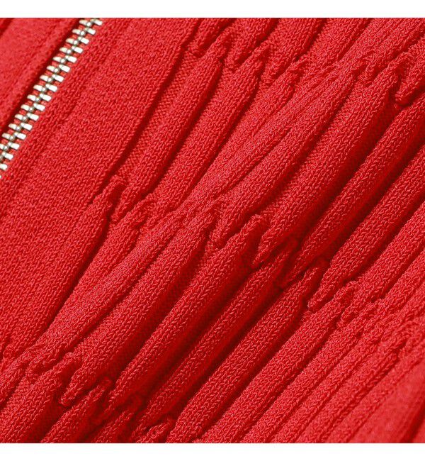 Ray BEAMS 「リブ ジップ ポロ カーディガン」|カーディガン|