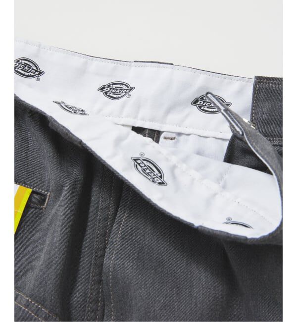 JOURNAL STANDARD relume「DICKIES / ディッキーズ 別注 &rdquo;ダブルニー&times;ダブルヒップ &rdquo; ワークパンツ」|その他|