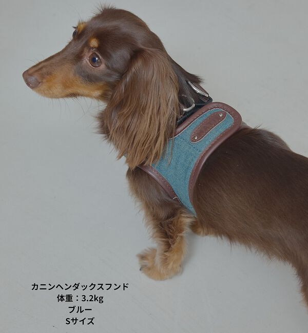 LOWELL things「MATIE/ハーネス(S/M/L)【Direction by 有末麻祐子】」|その他|