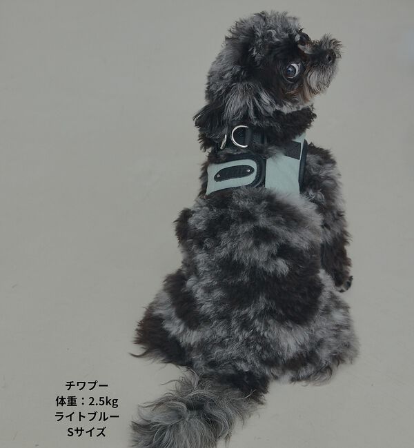 LOWELL things「MATIE/ハーネス(S/M/L)【Direction by 有末麻祐子】」|その他|