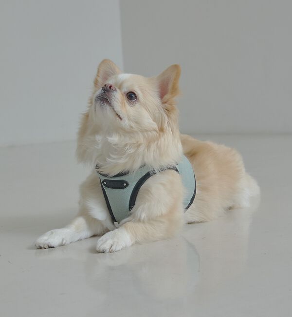 LOWELL things「MATIE/ハーネス(S/M/L)【Direction by 有末麻祐子】」|その他|