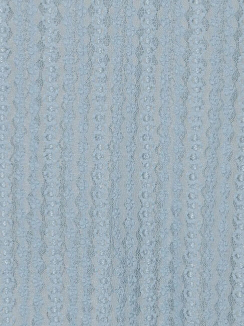 Te chichi「ストレッチレーストップス《2026 spring catalog item》」|Tシャツ・カットソー|