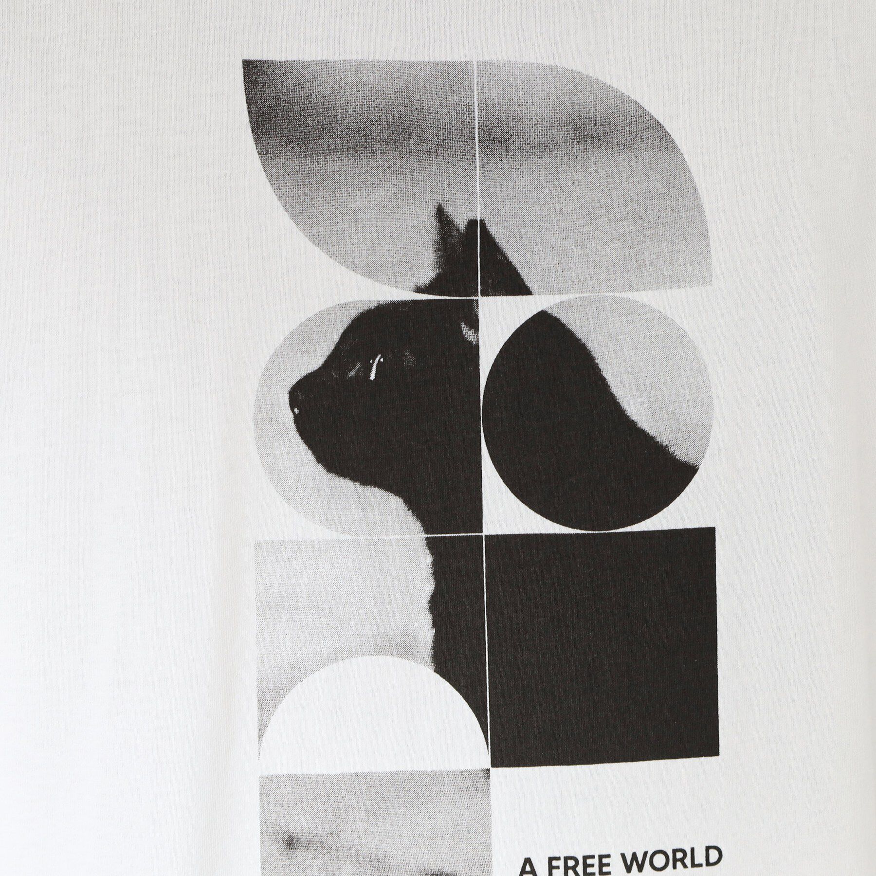 THE SHOP TK「【夏コーデの主役に】グラフィックコットン半袖Tシャツ CAT／LANDSCAPE」|Tシャツ・カットソー|