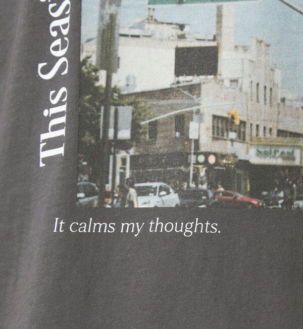 UNITED ARROWS green label relaxing「【WEB限定】＜at ease＞アソート フォトプリント ショートスリーブ カットソー」|Tシャツ・カットソー|