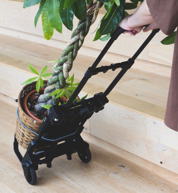 BEAMS「花岡車輌 / FLAT CART 2&times;4 BLACK」|その他|