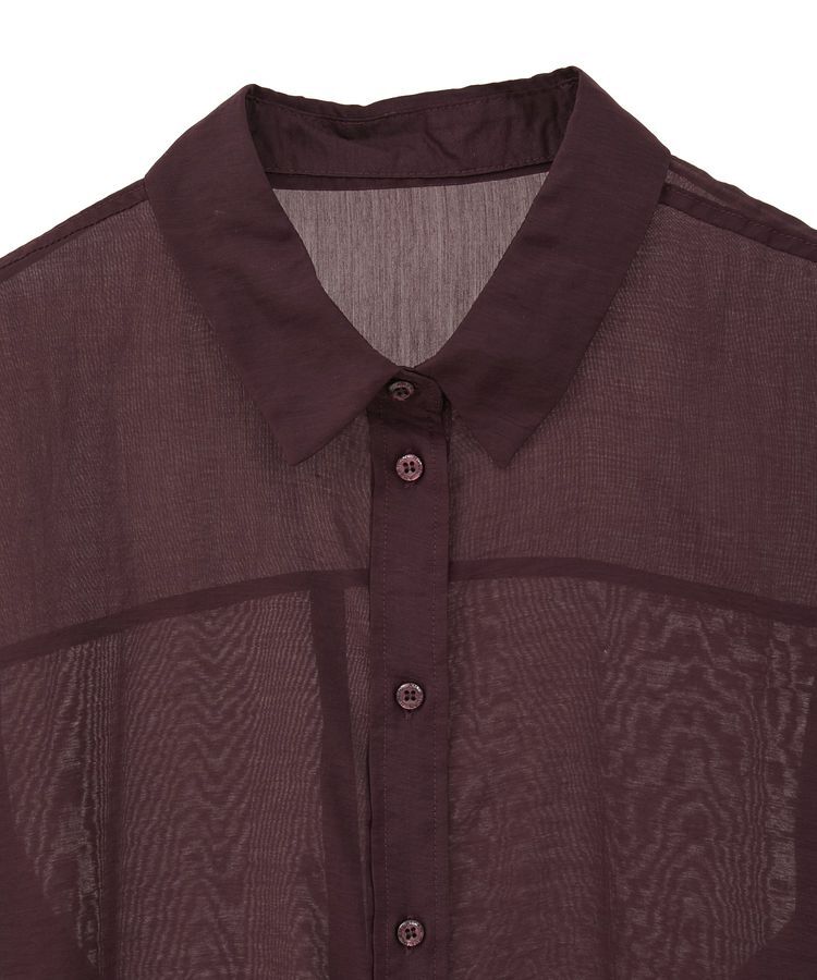 AMERICAN HOLIC「ラスターシアーシャツ」|シャツ・ブラウス|