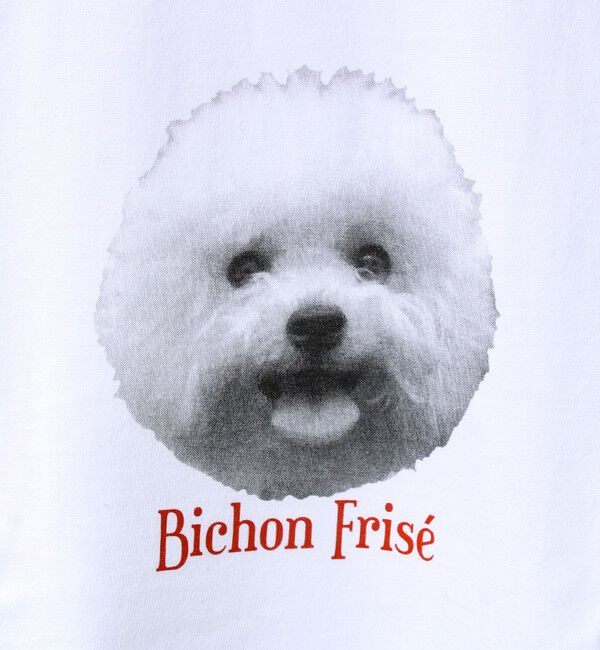 GLOSTER「【シリーズ累計人気】DOG＆CAT プリントTシャツ」|Tシャツ・カットソー|