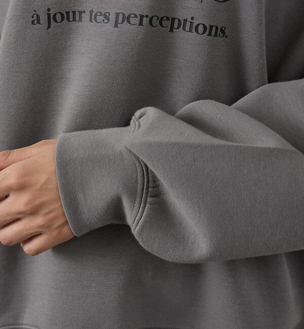 abahouse mavie「シルキーダンボールロゴプルオーバー」|スウェット・ジャージ|