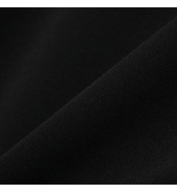 Demi-Luxe BEAMS 「トリアセ セミタイトスカート＊」|スカート|