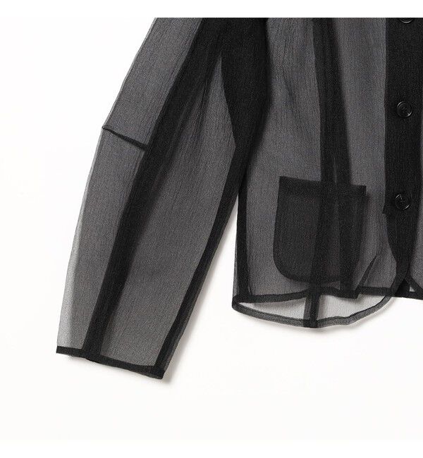 Demi-Luxe BEAMS 「BAUM UND PFERDGARTEN / ファンシー オーガンジー シャツ」|シャツ・ブラウス|