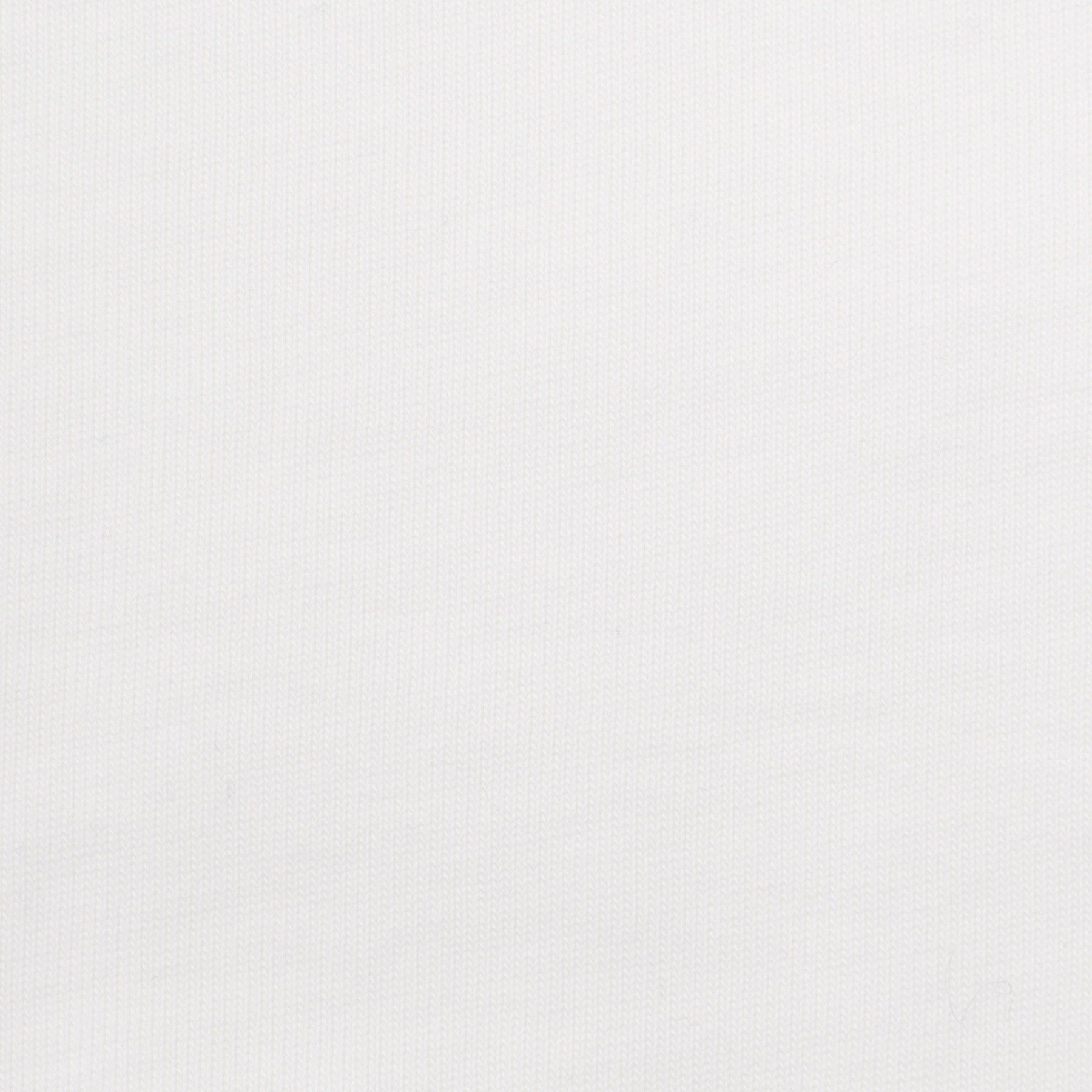 DRESSTERIOR「LACOSTE（ラコステ）アウトラインクロッククルーネックTシャツ」|Tシャツ・カットソー|