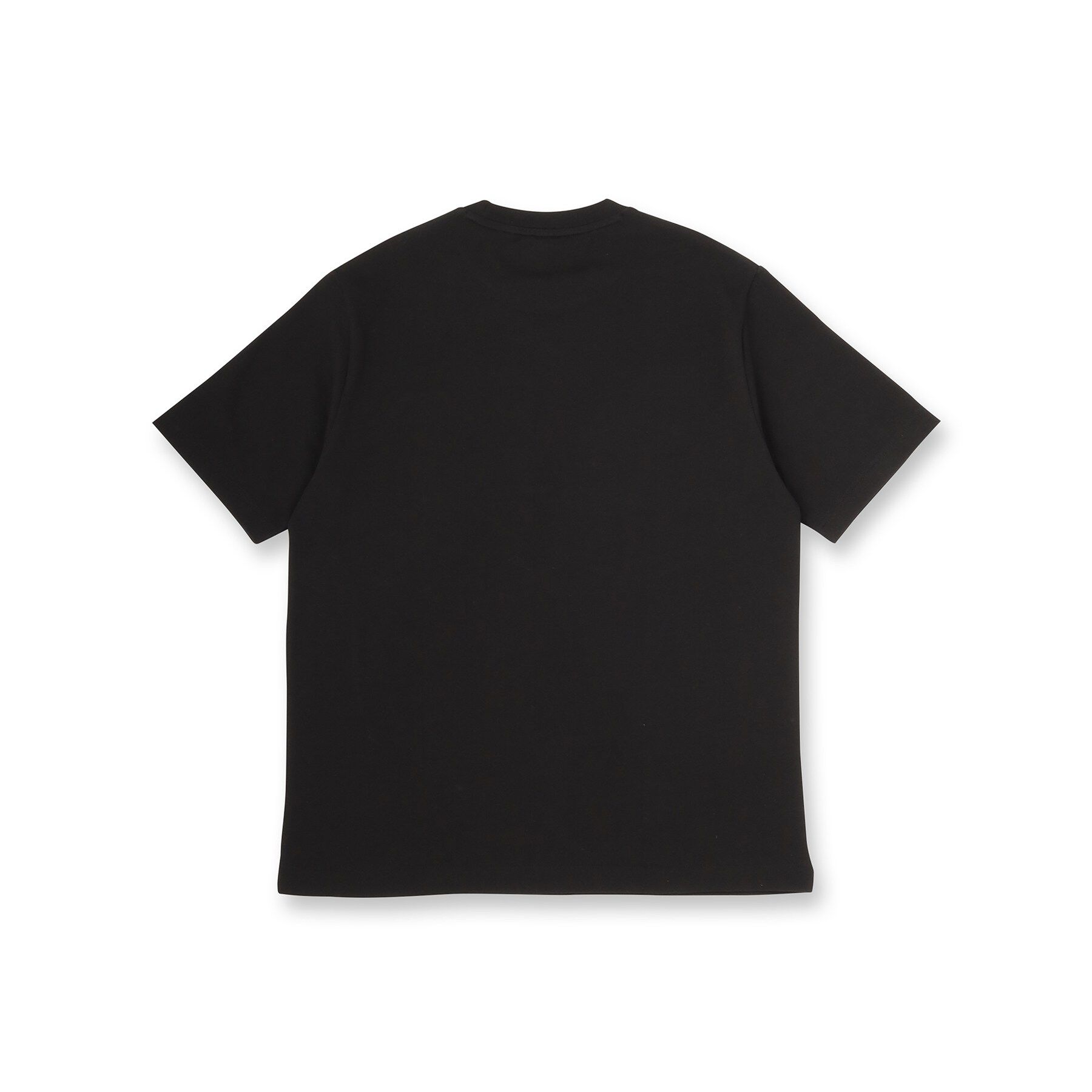 DRESSTERIOR「LACOSTE（ラコステ）アウトラインクロッククルーネックTシャツ」|Tシャツ・カットソー|