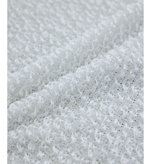 SALON adam et rope'「【WEB限定】ティアードラッセルシアーTシャツ」|Tシャツ・カットソー|