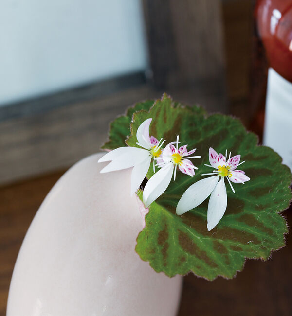 collex「【KINTO/キントー】SACCO ベース 磁器 02」|フラワーベース|