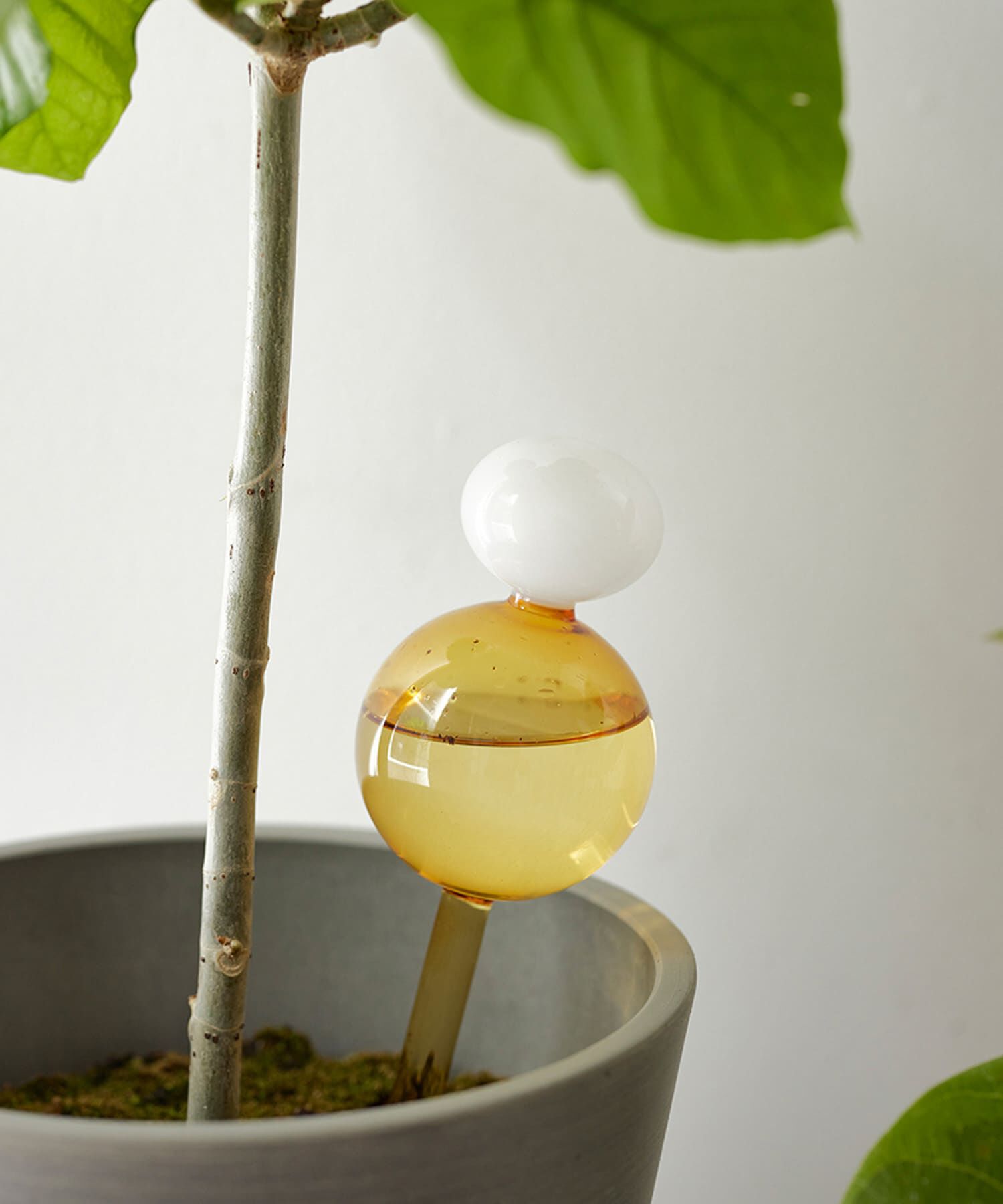 URBAN RESEARCH DOORS「shesay　ガラスのディスペンサーS」|フィギュア・ホビー|イエロー