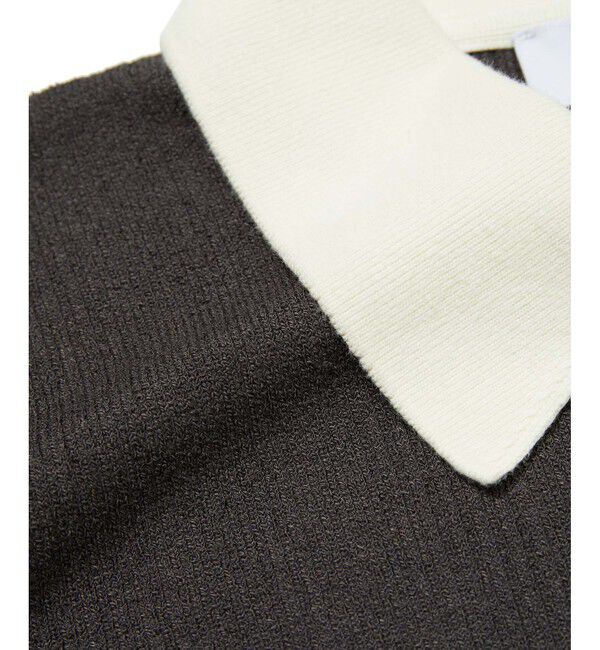 ADAM ET ROPE'「【WEB限定】・【新色追加】・【洗える】ポロシャツワンピース」|ワンピース|