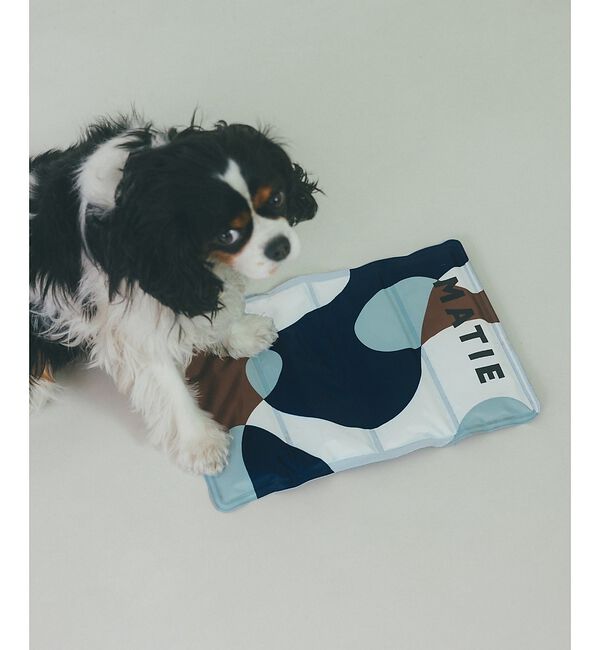 LOWELL things「MATIE/ 保冷ジェルマットL/ペットリュック対応【Direction by」|その他|ネイビー