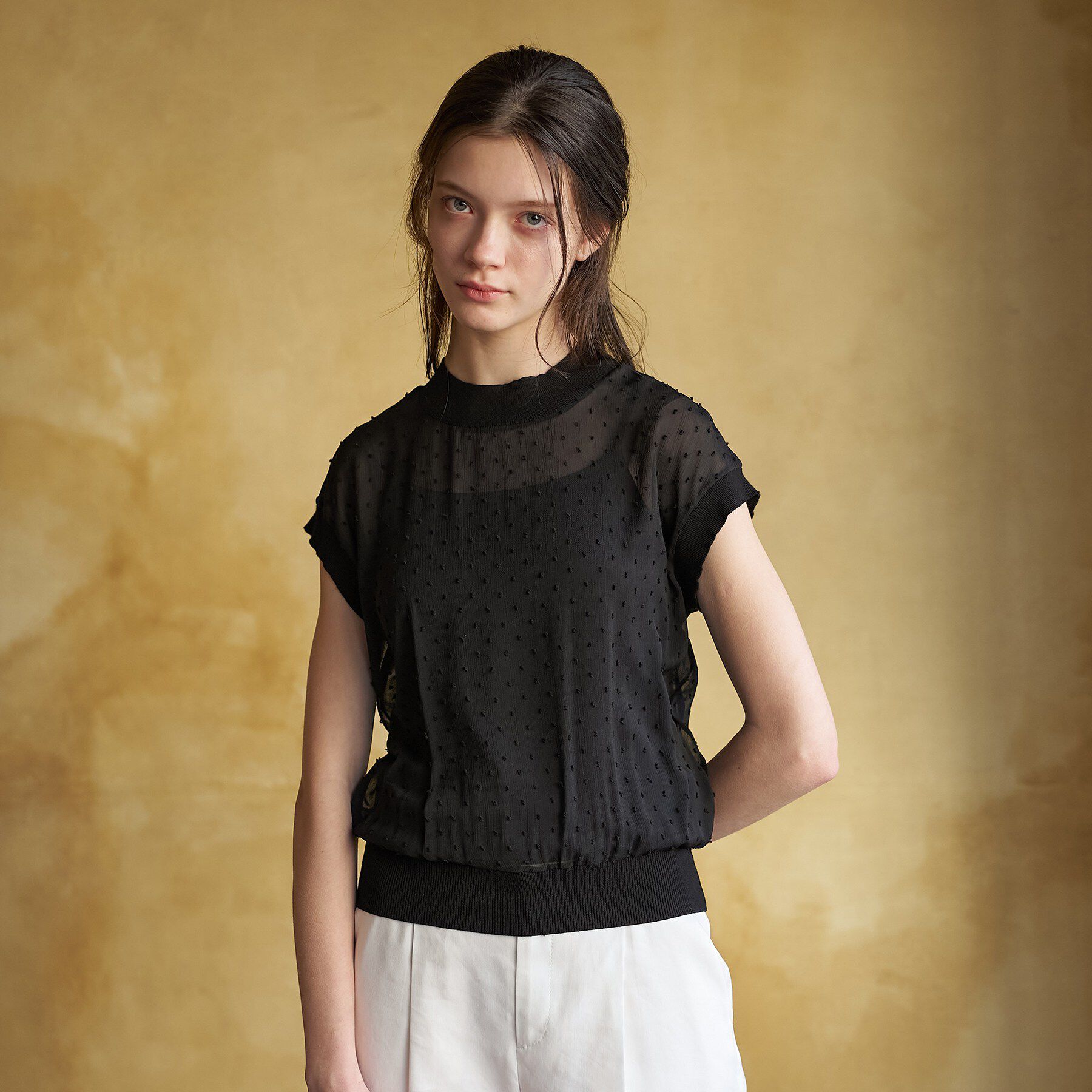 DRESSTERIOR「【ウォッシャブル/シアー】ドットジャカード プルオーバー」|シャツ・ブラウス|