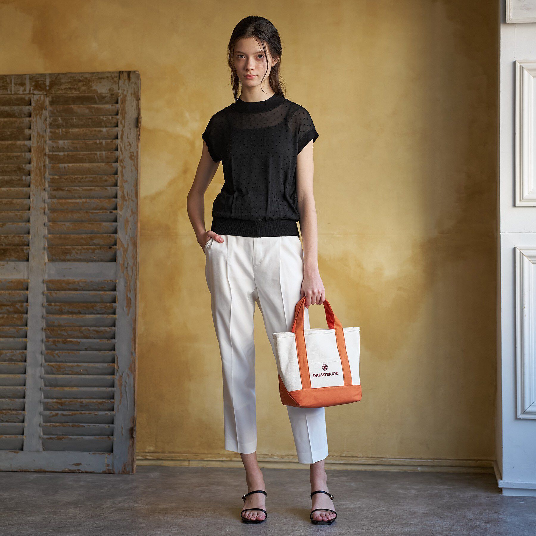 DRESSTERIOR「【ウォッシャブル/シアー】ドットジャカード プルオーバー」|シャツ・ブラウス|