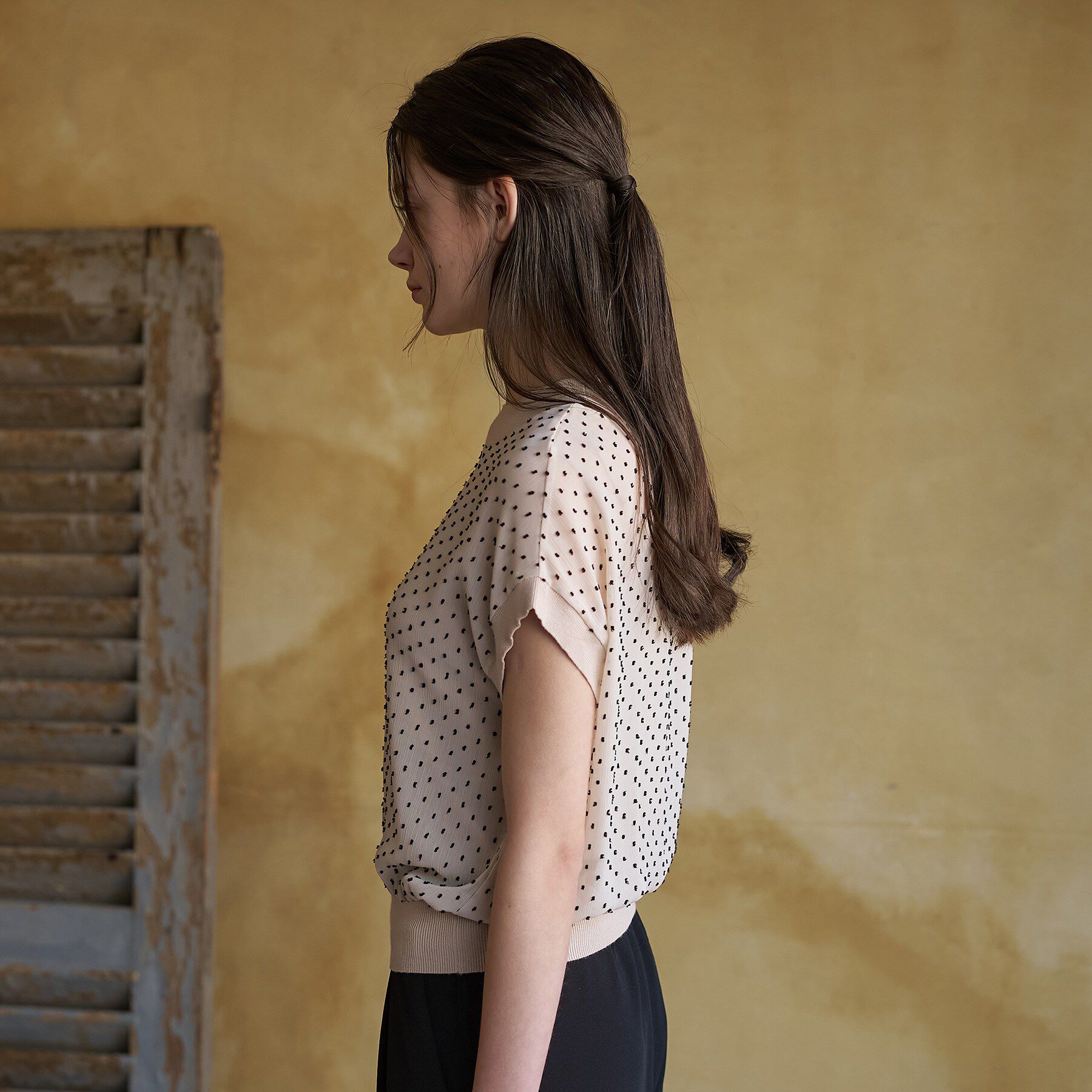 DRESSTERIOR「【ウォッシャブル/シアー】ドットジャカード プルオーバー」|シャツ・ブラウス|