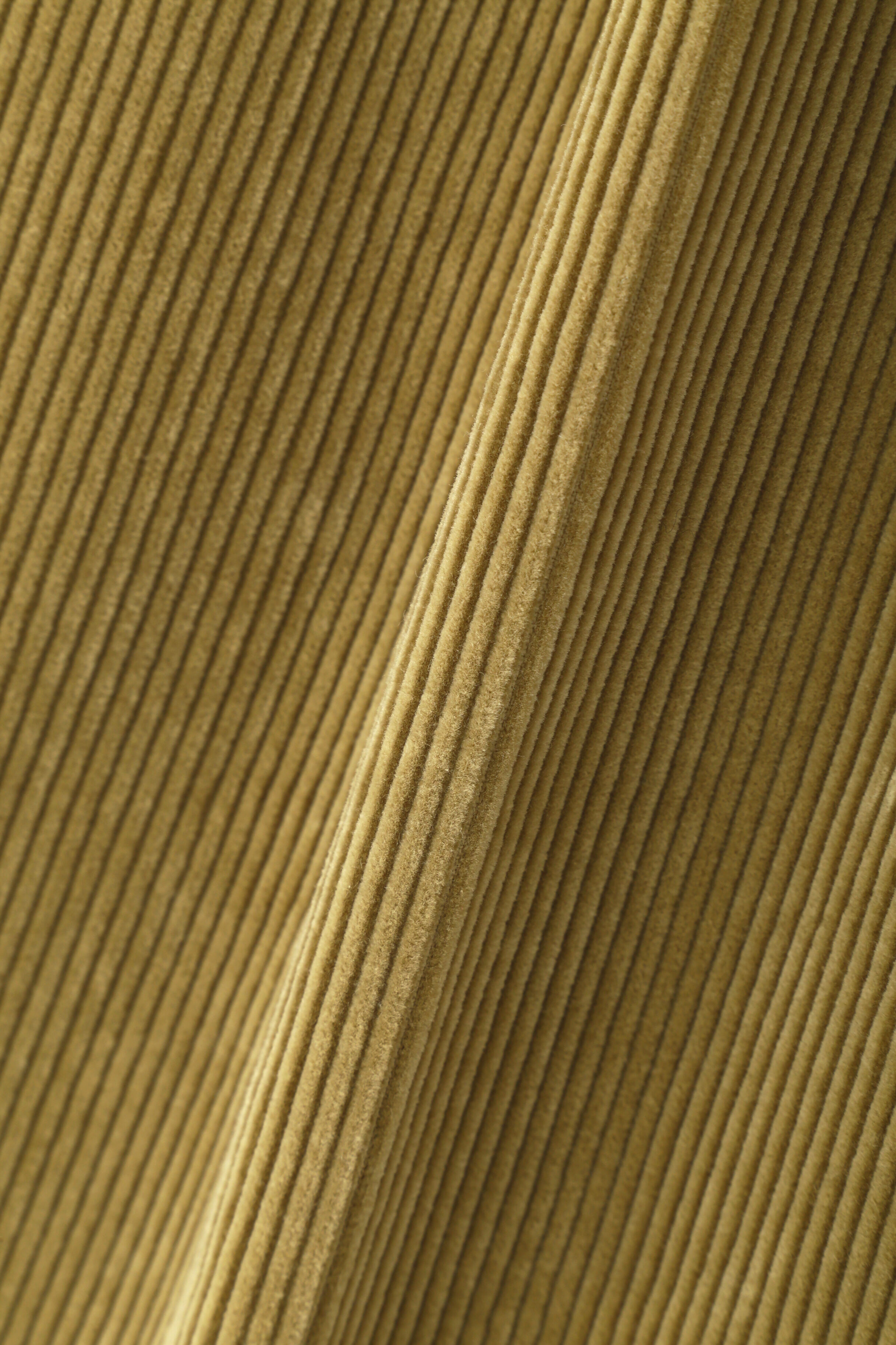 YLEVE 「YLEVE / COTTON CORDUROY TR」|その他|