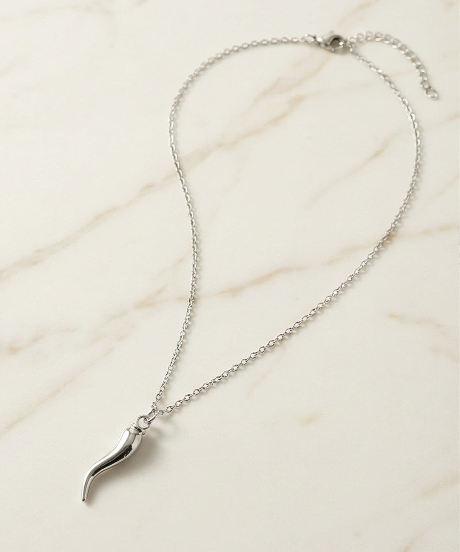 STYLE DELI「【DELI by】イタリアンホーン・ペッパーペンダントネックレス」|ネックレス|