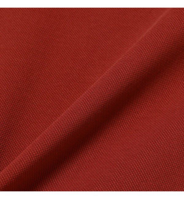 Ray BEAMS 「【別注】FRED PERRY / Twin Tipped ポロシャツ G3600」|ポロシャツ|