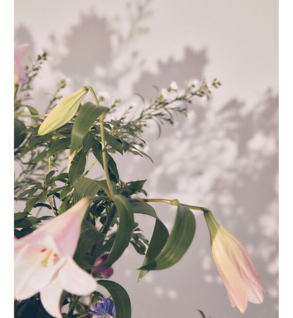 VIS「【DILIGENCE PARLOUR】VIS別注モデルフラワーロゴスウェット【セットアップ対応】」|スウェット・ジャージ|