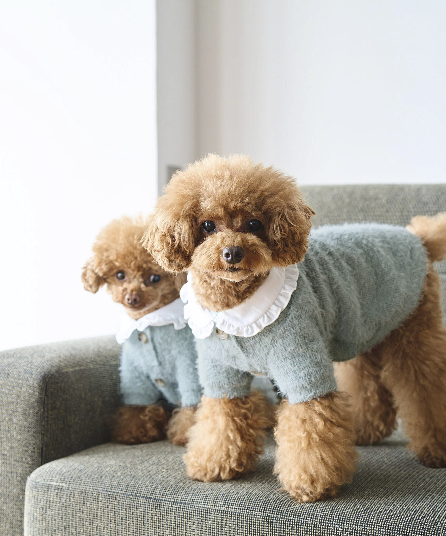 ROPE PICNIC PASSAGE「【DOG】ビックカラーカーディガン」|その他|