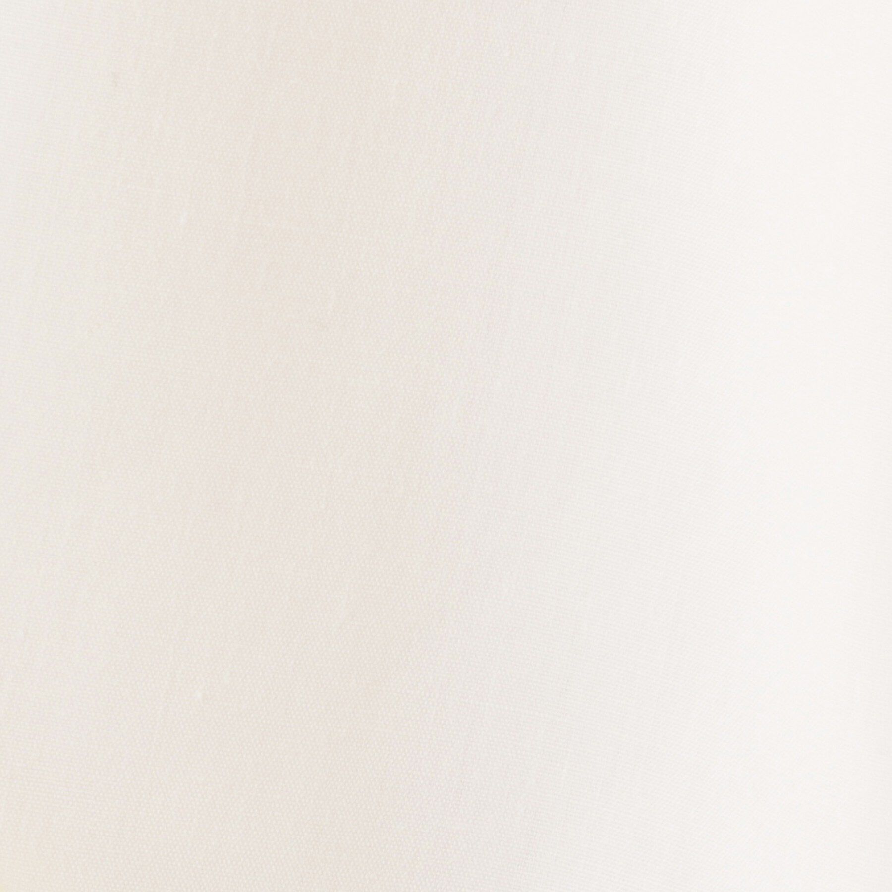 index「フリルスリーブドッキングポンチトップス【洗濯機OK】」|Tシャツ・カットソー|