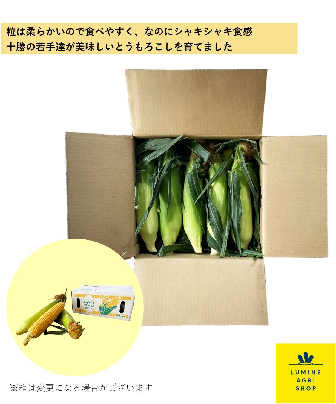 LUMINE AGRI SHOP「やわｼｬｷ！十勝とうもろこしｺﾞｰﾙﾄﾞﾗｯｼｭ3.8kg」|果物・野菜|