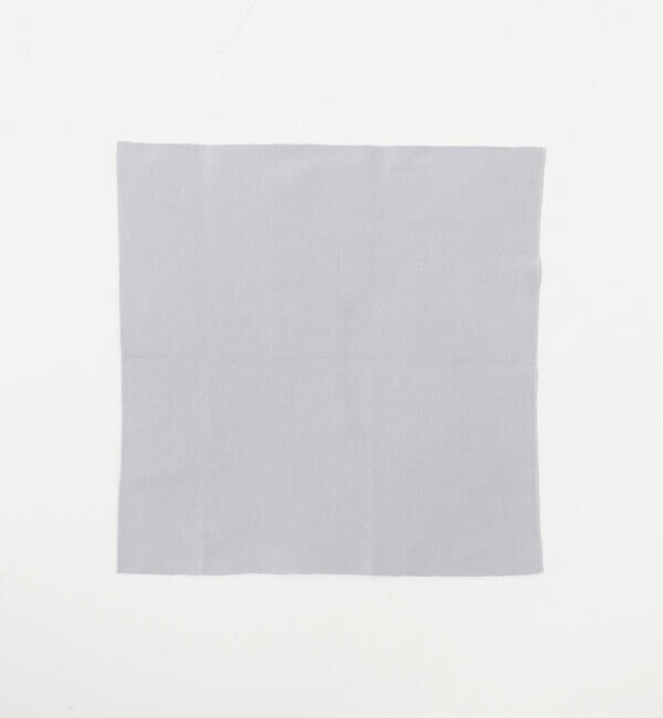 Ray BEAMS 「noeyedia / アイウェア クロス」|その他|