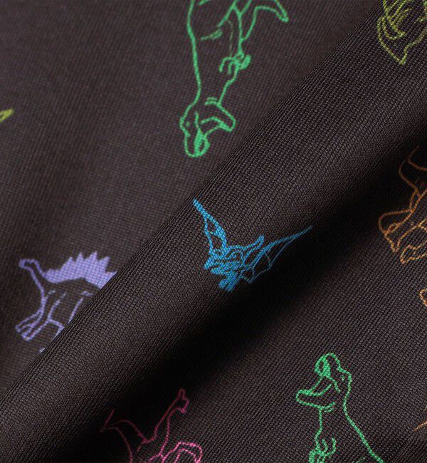 SHIPS KIDS「SHIPS KIDS:140～150cm / ダイナソー スイム ボクサー ショーツ」|ショーツ|