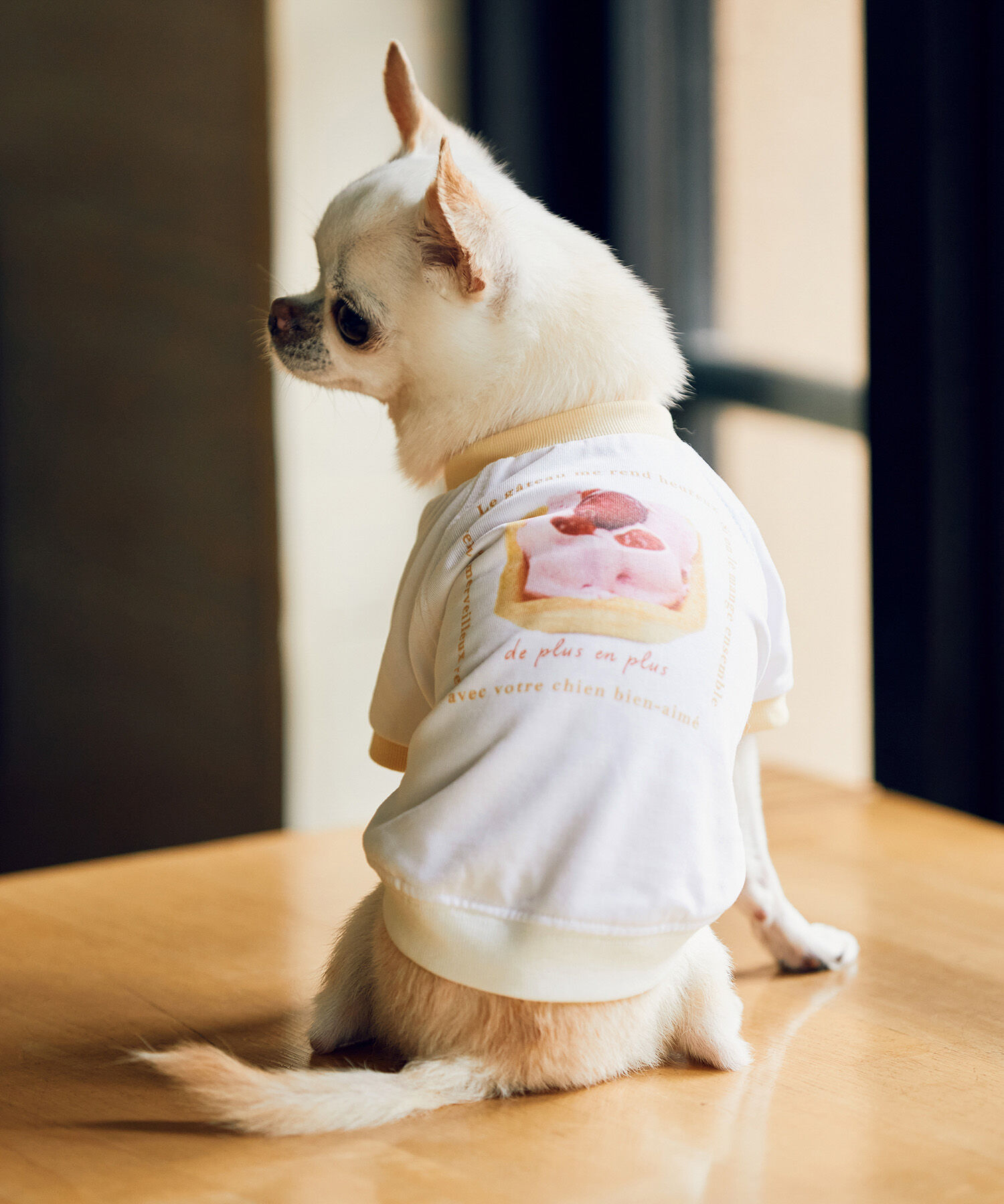 ROPE PICNIC PASSAGE「【comif(コミフ)&times;ROPE' PICNIC】【DOG】バースデーミニタルトTシャツ」|その他|