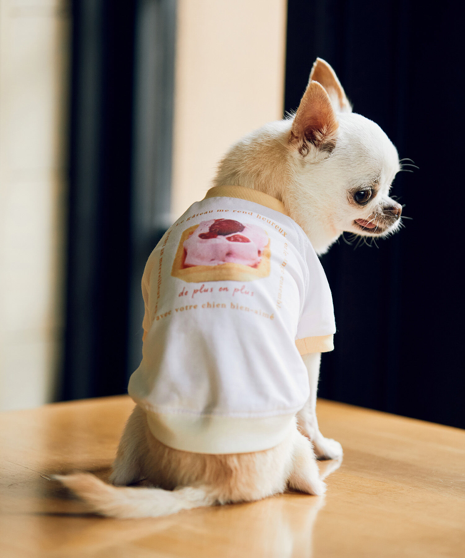 ROPE PICNIC PASSAGE「【comif(コミフ)&times;ROPE' PICNIC】【DOG】バースデーミニタルトTシャツ」|その他|