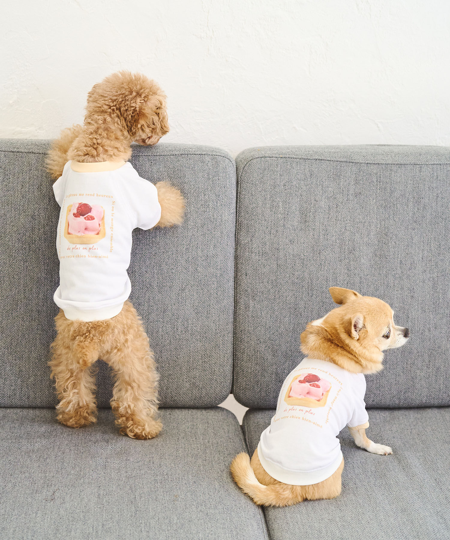 ROPE PICNIC PASSAGE「【comif(コミフ)&times;ROPE' PICNIC】【DOG】バースデーミニタルトTシャツ」|その他|