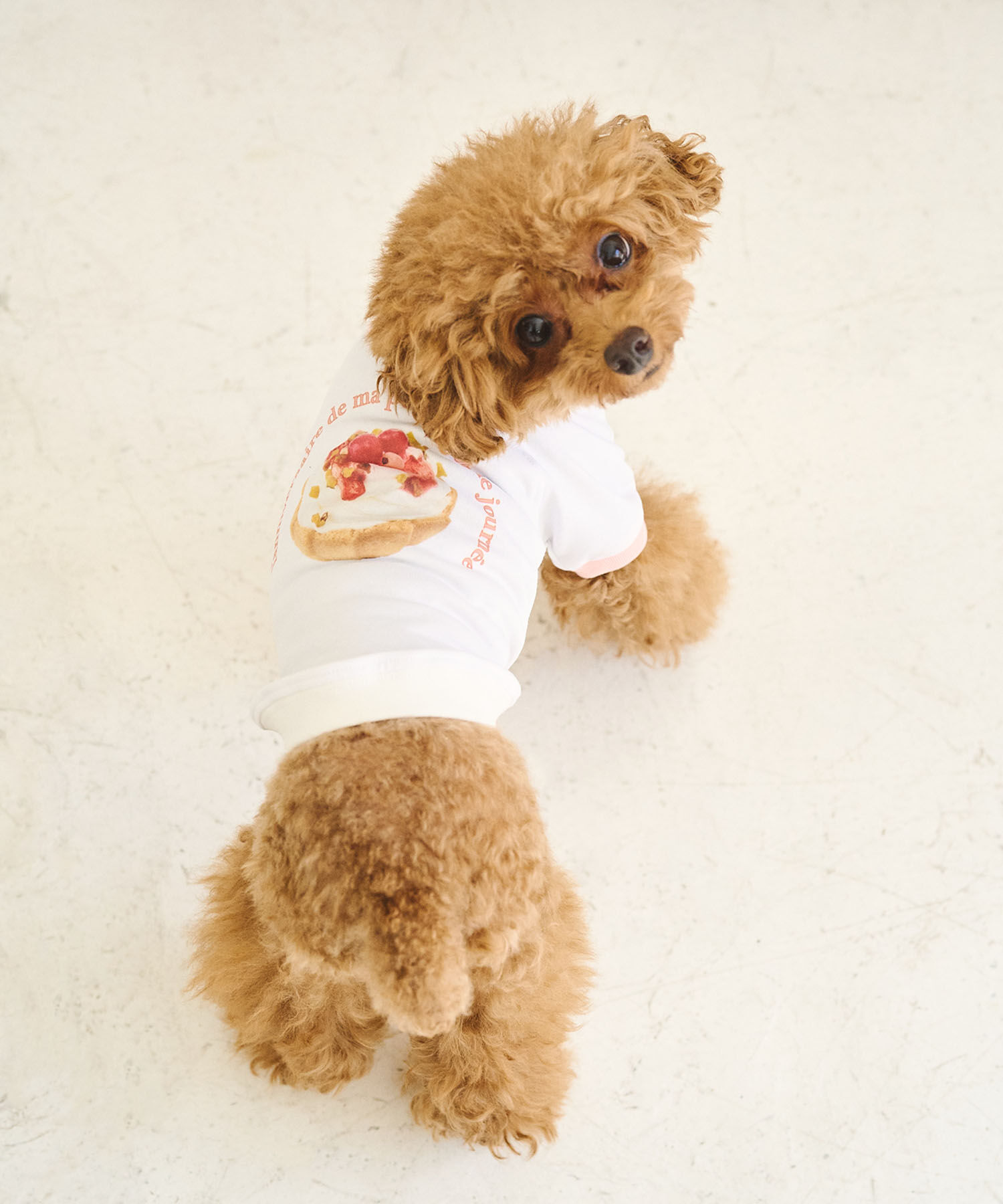ROPE PICNIC PASSAGE「【comif(コミフ)&times;ROPE' PICNIC】【DOG】バースデーミニタルトTシャツ」|その他|