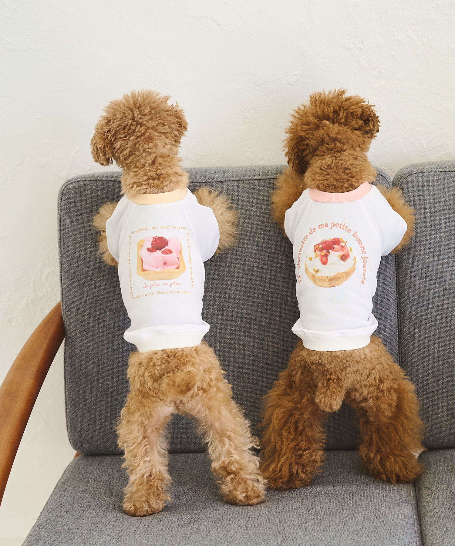 ROPE PICNIC PASSAGE「【comif(コミフ)&times;ROPE' PICNIC】【DOG】バースデーミニタルトTシャツ」|その他|