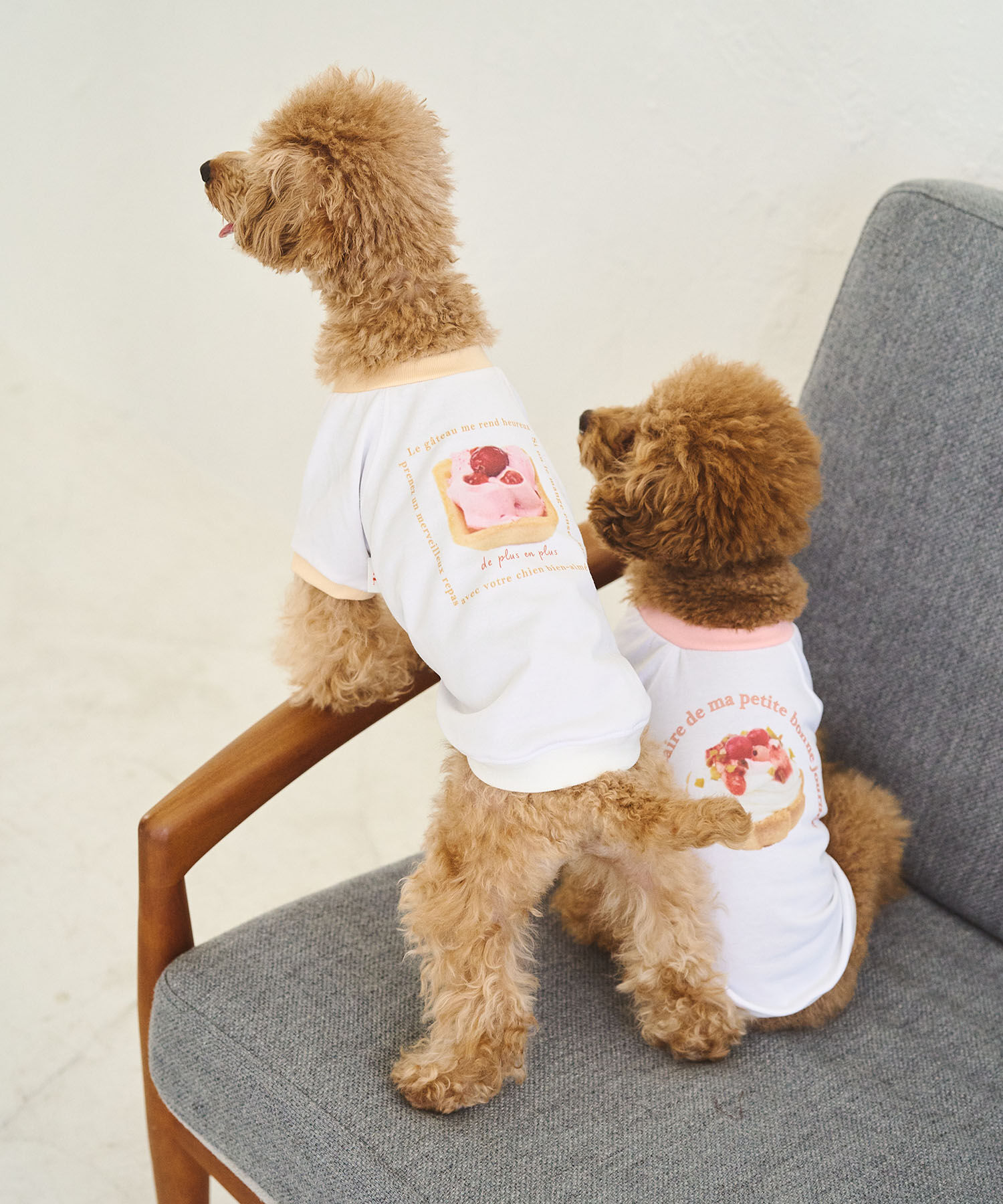 ROPE PICNIC PASSAGE「【comif(コミフ)&times;ROPE' PICNIC】【DOG】バースデーミニタルトTシャツ」|その他|
