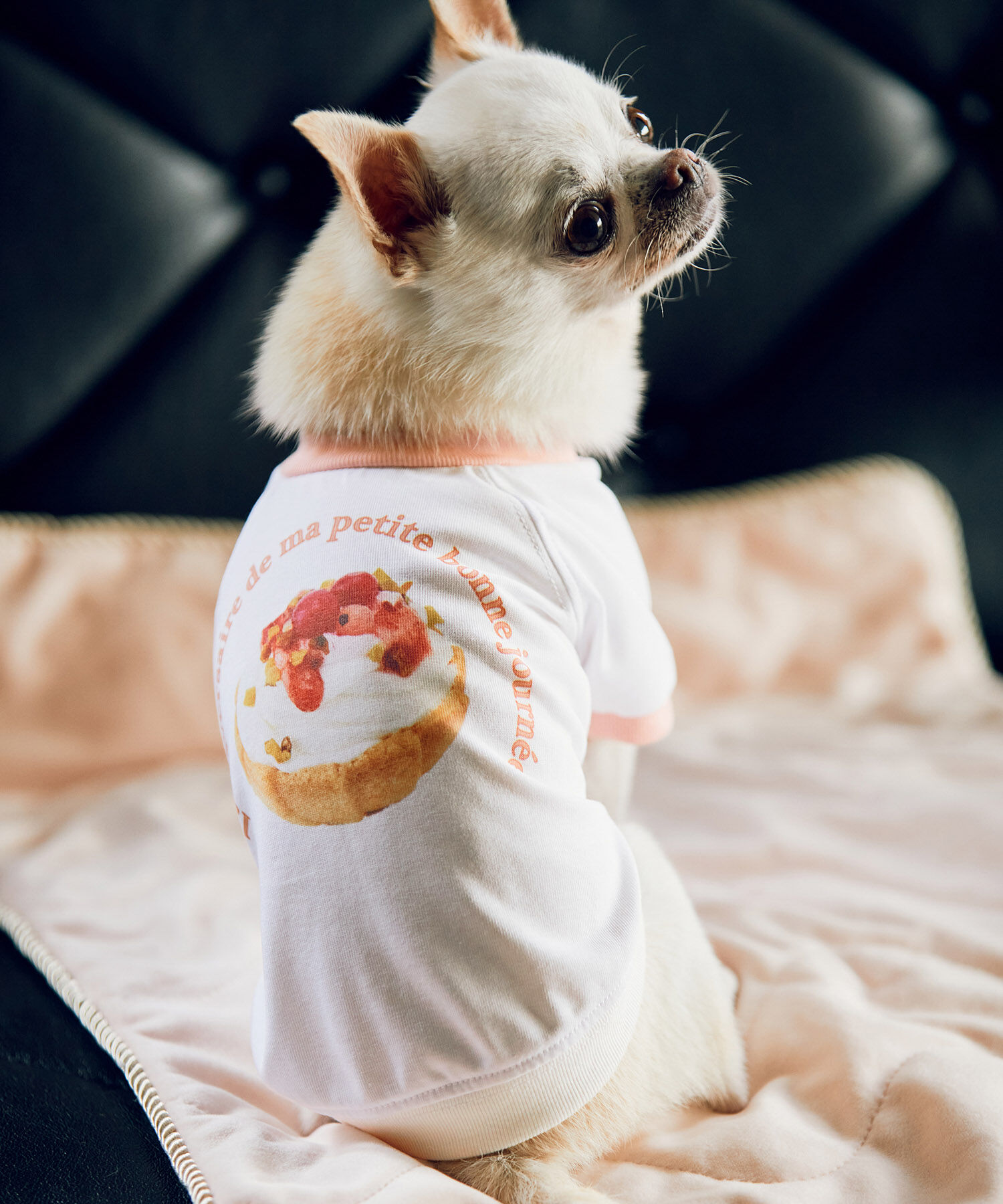 ROPE PICNIC PASSAGE「【comif(コミフ)&times;ROPE' PICNIC】【DOG】バースデーミニタルトTシャツ」|その他|